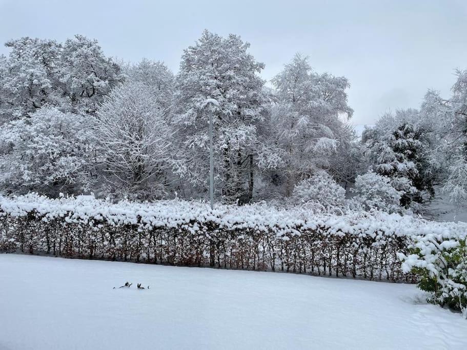 Bonny Wee Snug - Pod In Spean Bridgeアパートメント エクステリア 写真